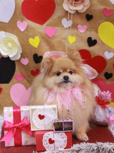 20230224梛都ちゃん